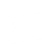 X10